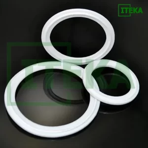 gioăng ptfe clamp