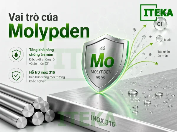 Vai trò của Molypden giúp inox 316 có khả năng chống ăn mòn vượt trội